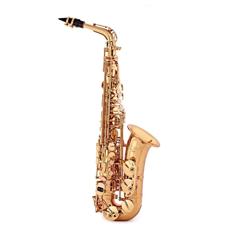 C.G. Conn by Conn Selmer AS651 Student Alto Saxophone
RM4600